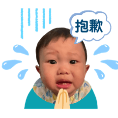 三寶の趣味日常❤️