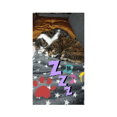 yayoi_20210427115649
