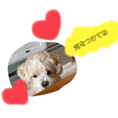 mizuki_20210427123023