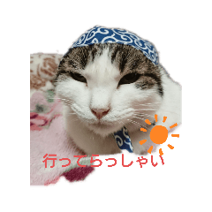 yayoi_20210427082752