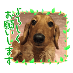 mimi_20210427125330