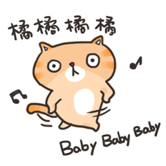 Orange Baby Cat