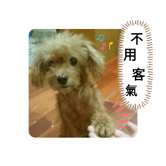 寶寶-有苦說不清