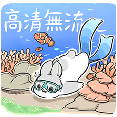 Machiko rabbit-free diving
