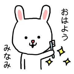 Minami rabbit