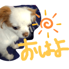 coco stamp 2021