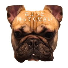 koharubiyori
