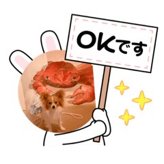 yukari_20210427173739