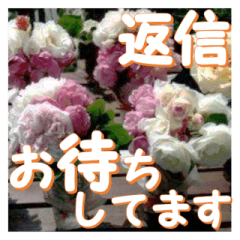 Greetings message of the rose_Assort9_J