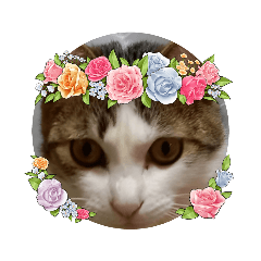hana_20210427203214