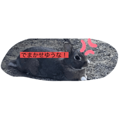 Ace_20210427205250