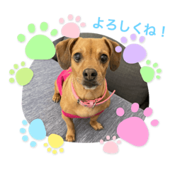 nozomi_20210427221512