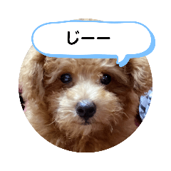 MATSU_20210427224237