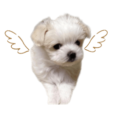 kazuki_20210427211507