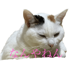 chisa_20210428001737