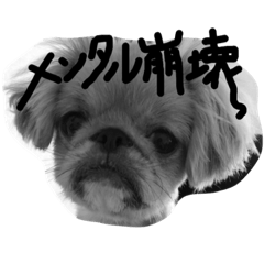 Okoge[negative]