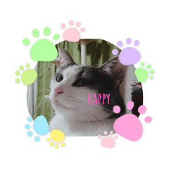 tomomi_20210427231702