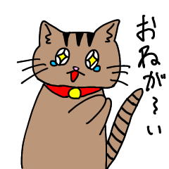hal's cats