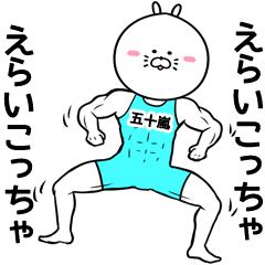 Igarashi Name Muscle Sticker