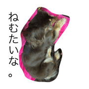 inunoshokochan