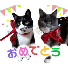 chihiro_20210428124742