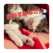 mako_20210428102301