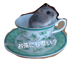 ISOBE's stump