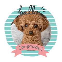 ayumi_20210428141709