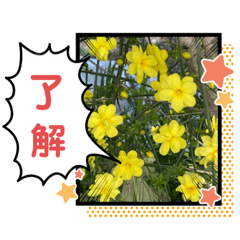 Yoshie Baba_20210428154316