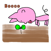 SOKKURI