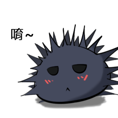 Mr.Urchin