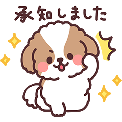 fluffy shih tzu 3set 5