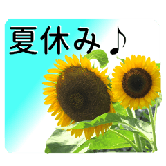 A floral message! Sunflower
