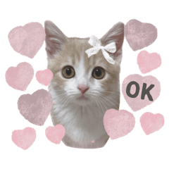 Munchkin ete__coton sticker