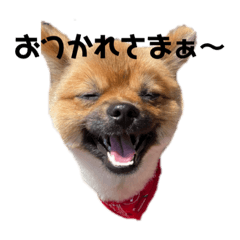 ayano_20210428190049