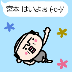 [MOVE]"MIYAMOTO" only name sticker
