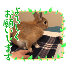 hana_20210428211720