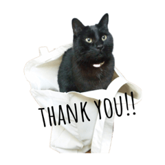 asuka_20210429063402