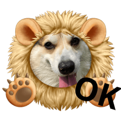 asako_20210429075901