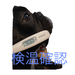 ponzu_20210429082959