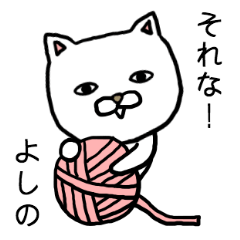 Yoshino cat