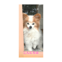 HANA_20210428190255