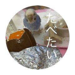 Emily_20210429103347