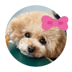 Asuka_20210428202341