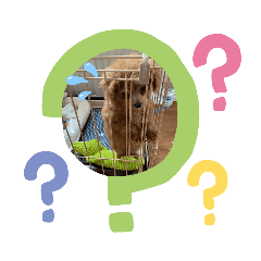 MATSU_20210429113047