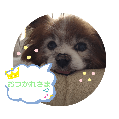 tomomi_20210429120022