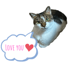 ARISA_20210429000410