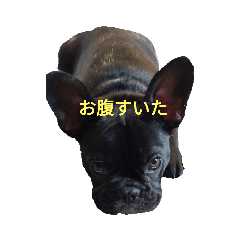 yuka_20210429005939