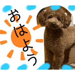 asuka_20210429023908