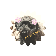 akiko_20210429125143